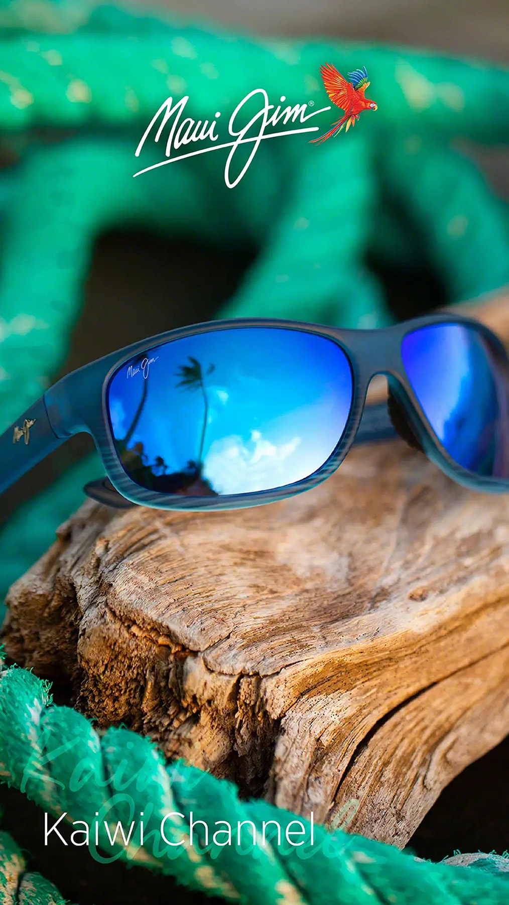 Blaue polarisierende Sonnenbrille von Maui Jim auf Treibholz
